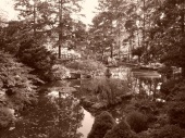 DSC08216.JPG